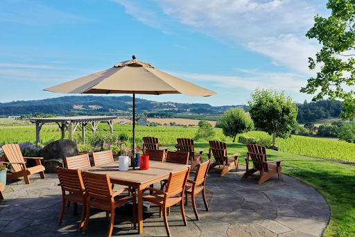 A table with an umbrella with green vineyard in the background