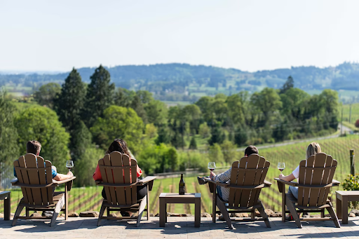 Four people sitting on chair looking over a green vineyard and rolling hills
